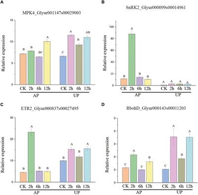 Alternative splicing responses to salt stress in Glycyrrhiza uralensis revealed by global profiling of transcriptome RNA-seq datasets